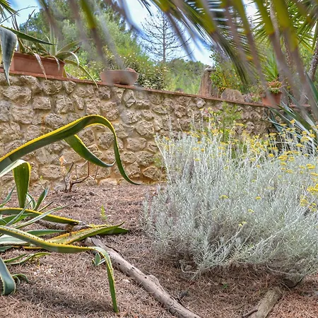 Bed & Breakfast Piccole Cose Capoliveri (Isola d'Elba)